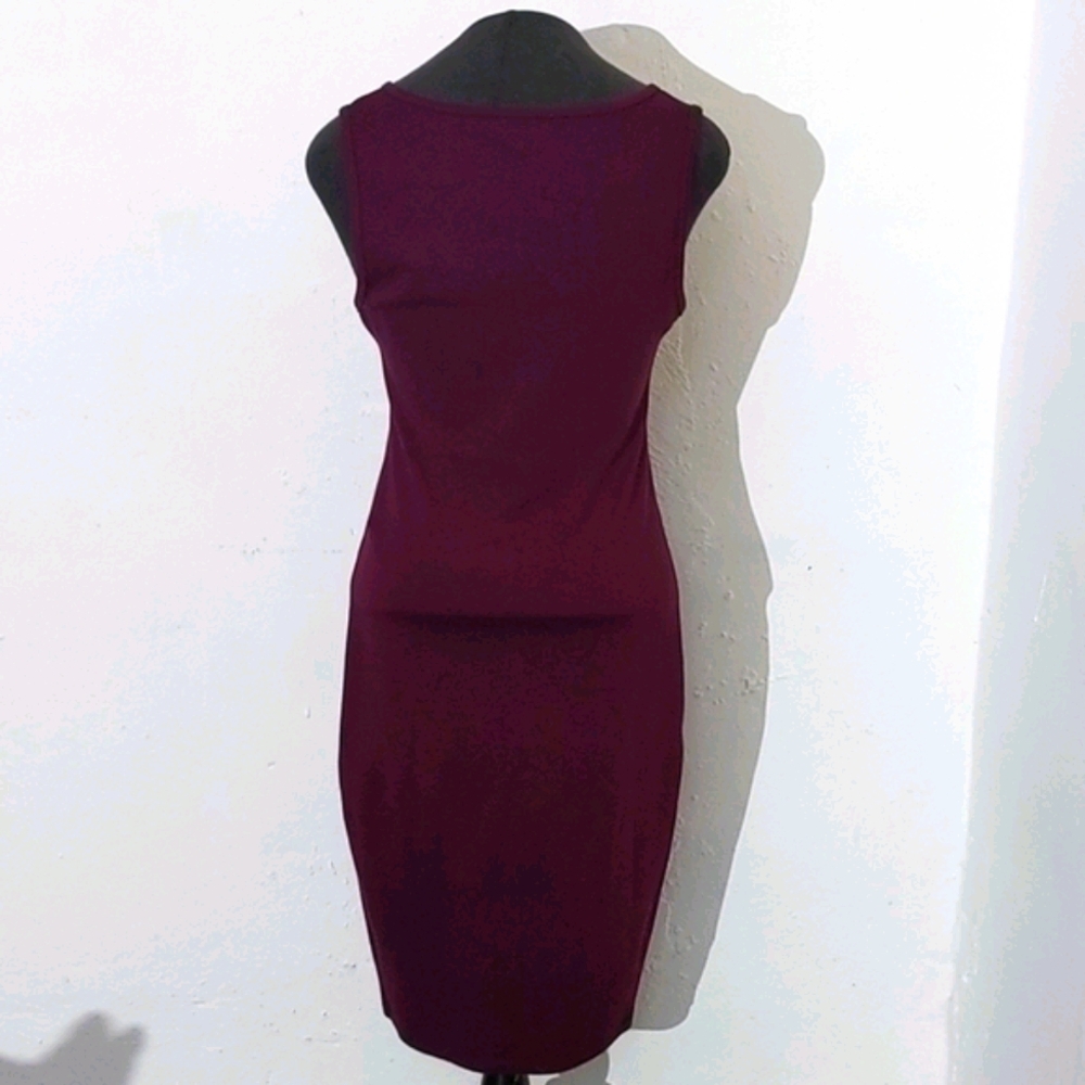 ⬇️Minette Burgundy Sleeveless Dress - Picture 4 of 6
